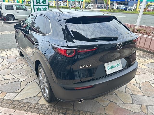 Mazda CX-30 2020 7647473-14