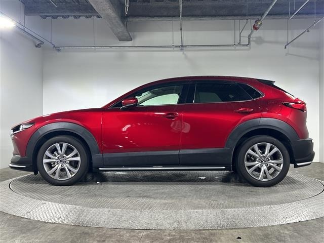 Mazda CX-30 2021 7647482-9