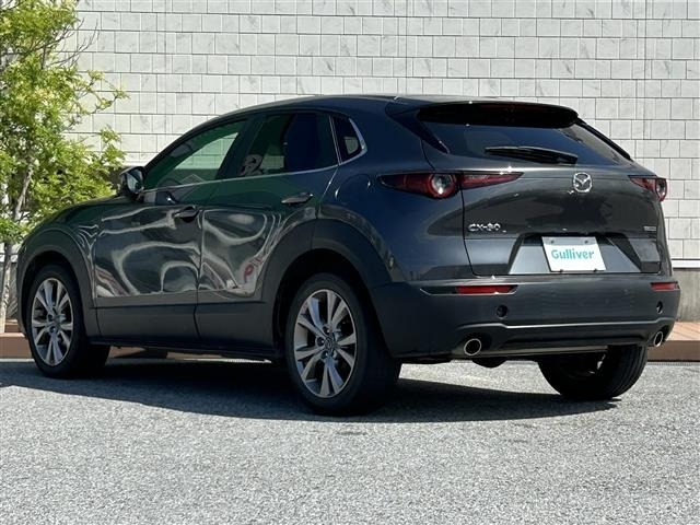 Mazda CX-30 2019 7647483-18