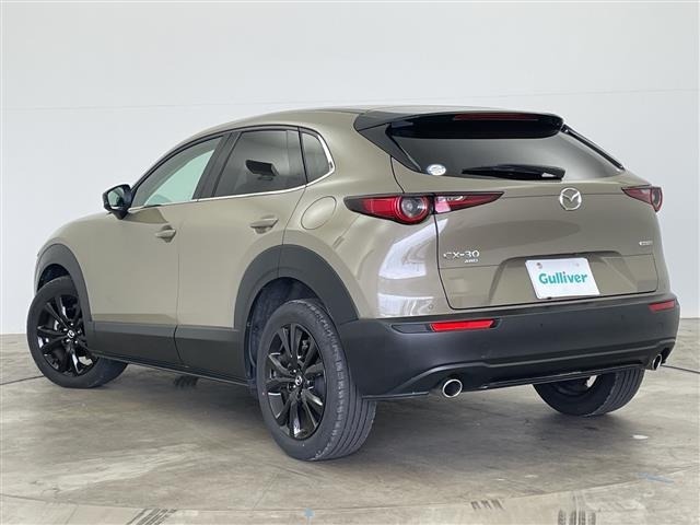 Mazda CX-30 2023 7647487-13