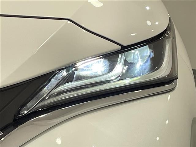 Toyota HARRIER 2021 7650654-13