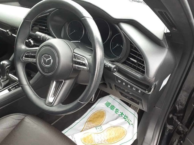Mazda MAZDA3 2023 7658729-9