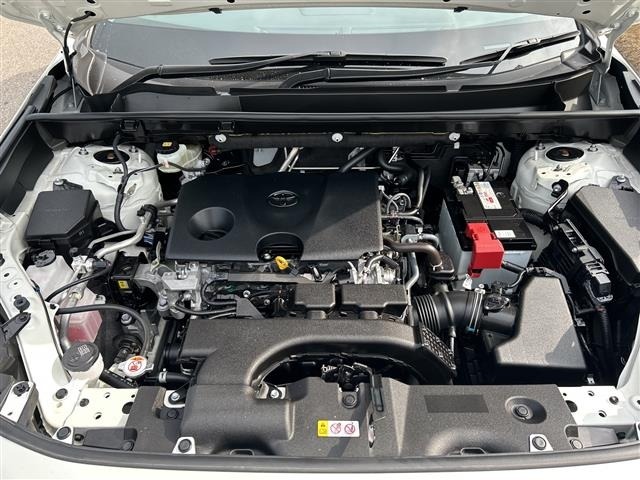 Toyota RAV4 2019 7654469-15