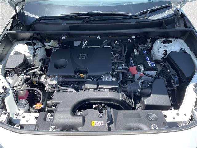 Toyota RAV4 2021 7654506-15