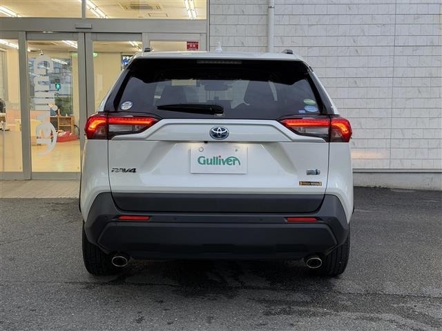 Toyota RAV4 2019 7654514-21
