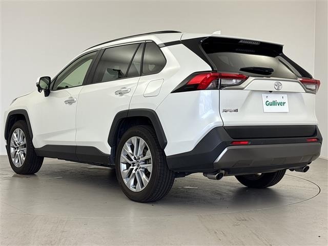 Toyota RAV4 2019 7654566-14