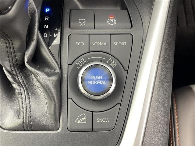 Toyota RAV4 2019 7654573-8