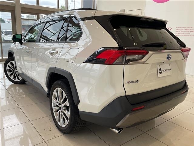 Toyota RAV4 2019 7654597-13