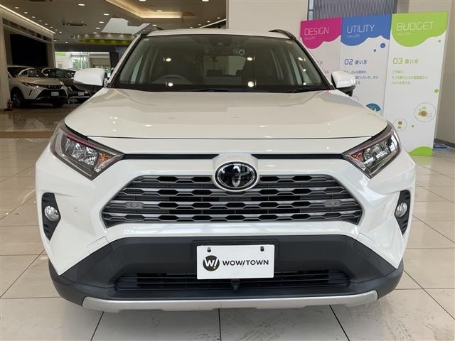 Toyota RAV4 2019 7654597-22