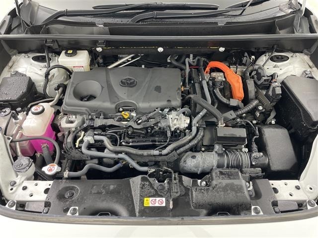 Toyota RAV4 2023 7654773-19