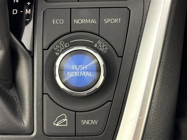 Toyota RAV4 2019 7654841-19