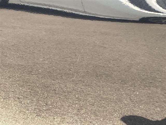 Nissan SKYLINE 2017 7659381-7