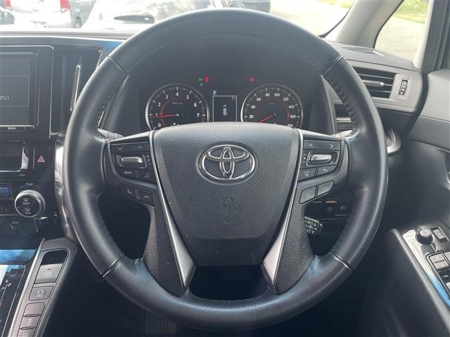 Toyota ALPHARD 2018 7671229-19