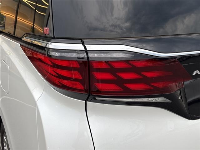 Toyota ALPHARD 2024 7671490-13