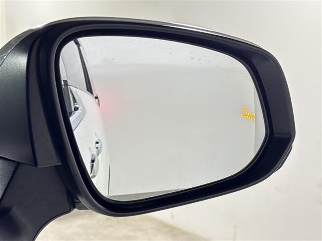 Toyota ALPHARD 2024 7671492-12