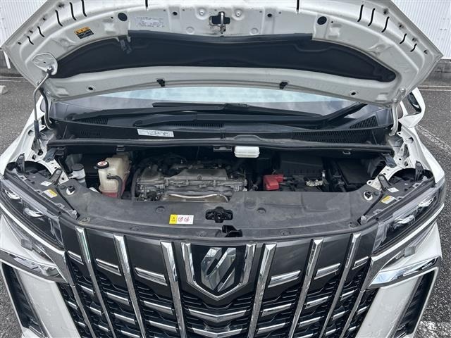 Toyota ALPHARD 2020 7671530-14