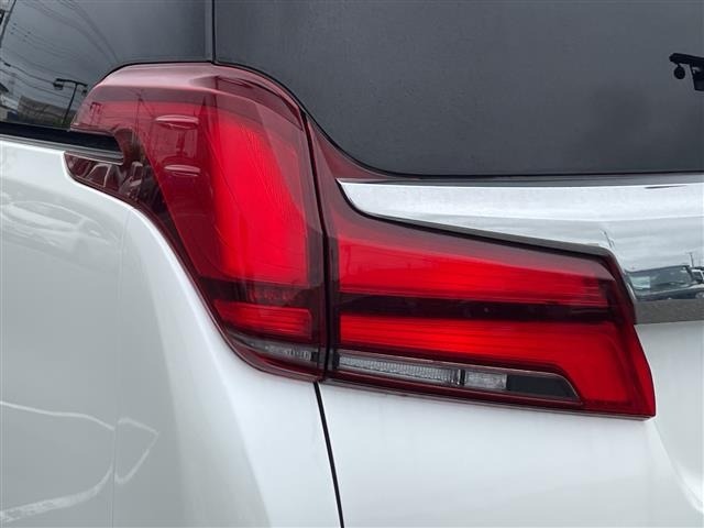Toyota ALPHARD 2019 7671538-13