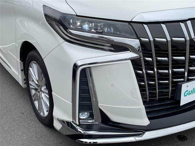 Toyota ALPHARD 2019 7671538-14