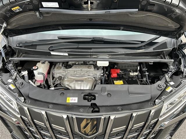 Toyota ALPHARD 2021 7671558-14