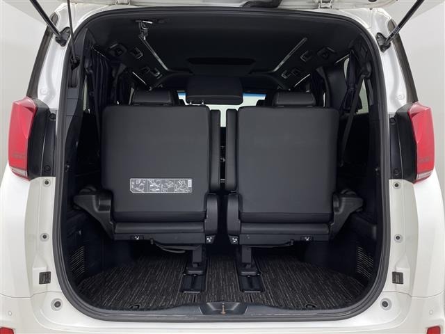 Toyota ALPHARD 2021 7671561-10