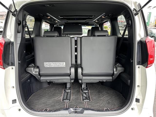 Toyota ALPHARD 2021 7671569-12