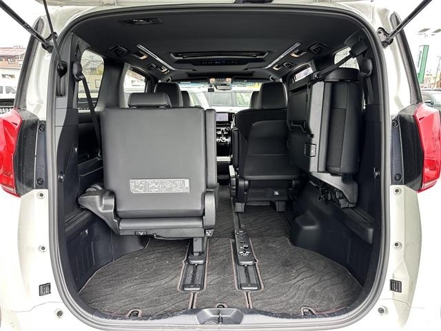 Toyota ALPHARD 2021 7671569-13