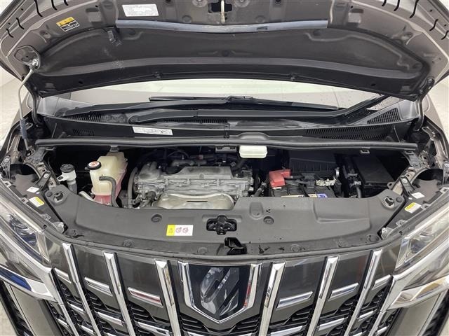 Toyota ALPHARD 2020 7671579-14