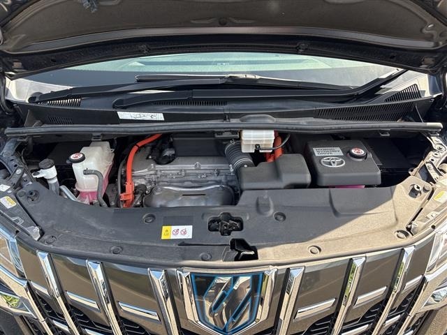 Toyota ALPHARD 2022 7671586-14