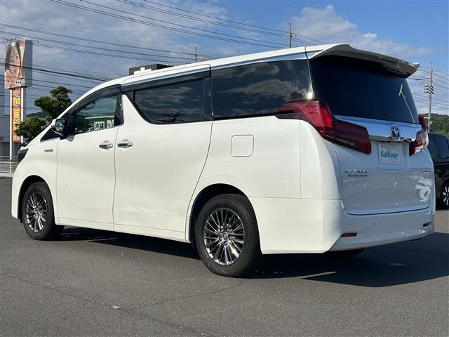 Toyota ALPHARD 2019 7671602-13