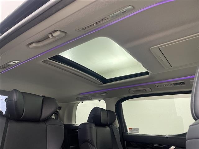 Toyota ALPHARD 2021 7671613-17