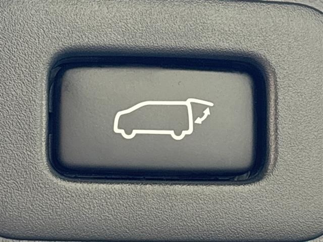Toyota ALPHARD 2021 7671616-19