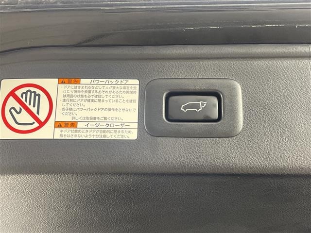 Toyota ALPHARD 2021 7671619-21