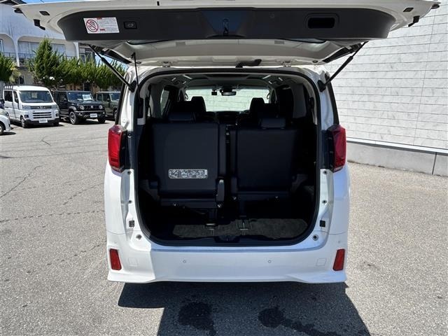 Toyota ALPHARD 2019 7671625-11