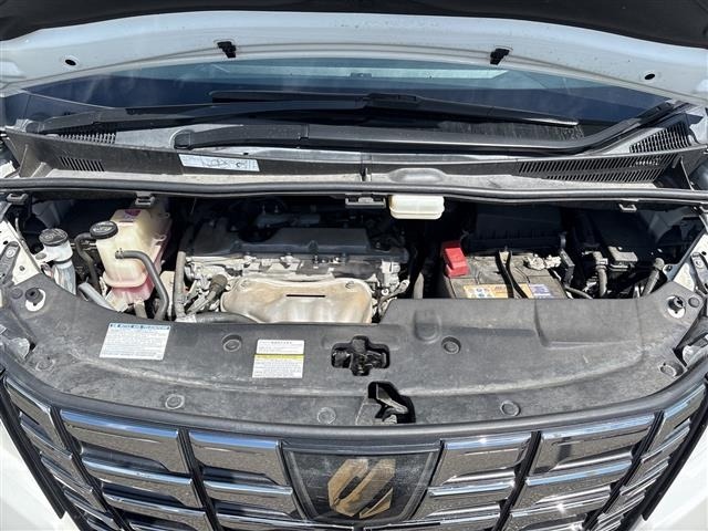 Toyota ALPHARD 2017 7671686-14
