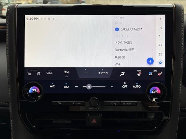 Toyota ALPHARD 2024 7671704-4