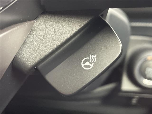 Subaru FORESTER 2021 7664860-12
