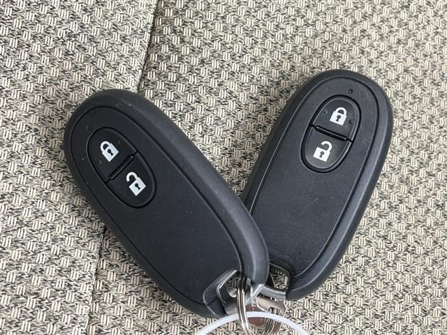 Suzuki LAPIN 2018 7667553-4