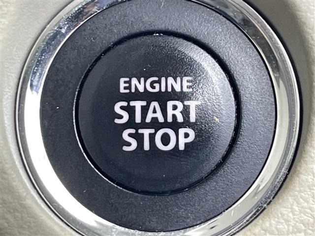 Suzuki LAPIN 2018 7667553-6