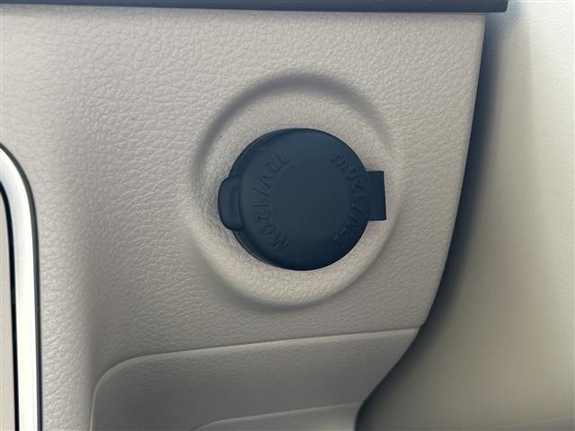 Suzuki LAPIN 2025 7667586-12