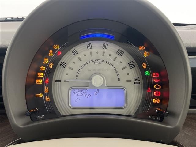 Suzuki LAPIN 2021 7667600-19