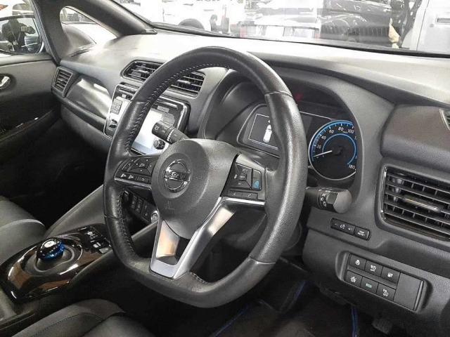 Nissan LEAF 2019 7662890-9