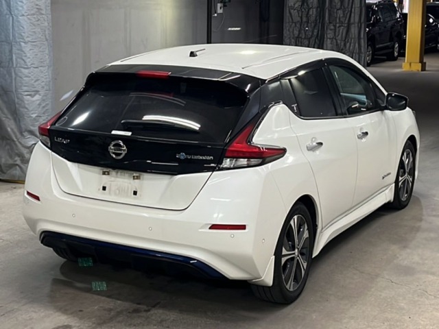 Nissan LEAF 2018 7662911-5