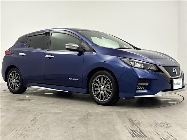 Nissan LEAF 2020 7663089-0