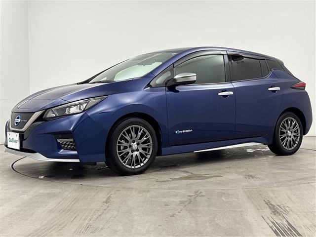 Nissan LEAF 2020 7663089-22