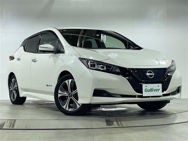 Nissan LEAF 2021 7663093-0