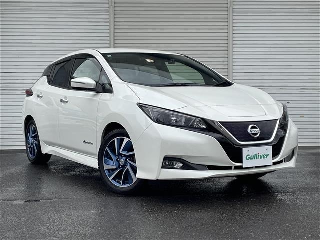 Nissan LEAF 2017 7663102-0