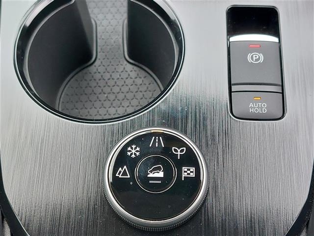 Nissan X-TRAIL 2023 7673468-24