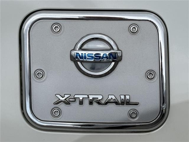 Nissan X-TRAIL 2014 7673670-21