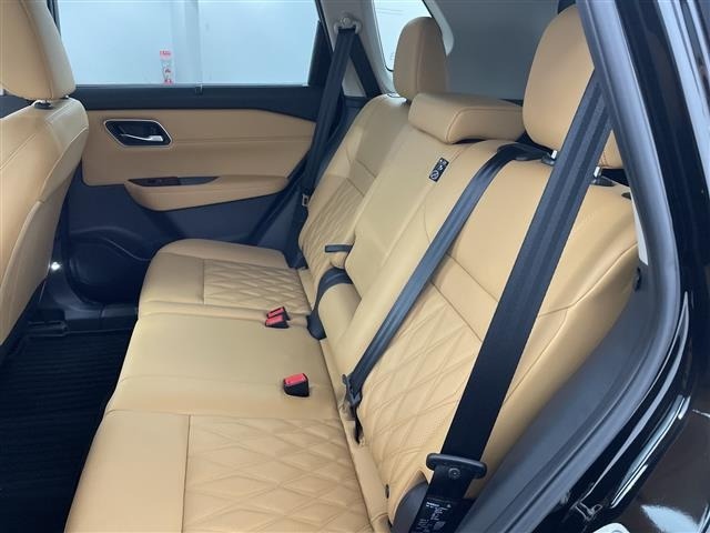 Nissan X-TRAIL 2024 7673703-9