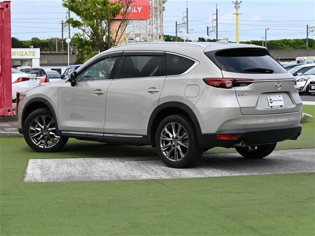 Mazda CX-8 2021 7675147-14